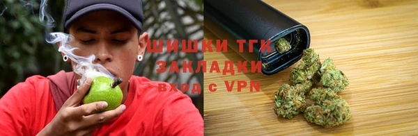 сатива Нязепетровск