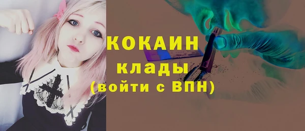 apvp Няндома