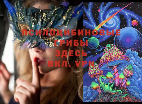 сатива Нязепетровск