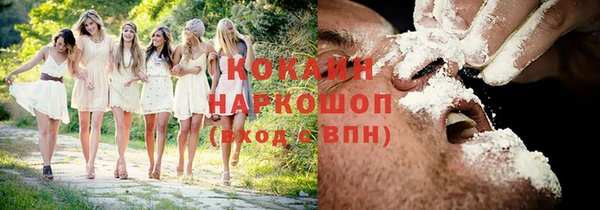 apvp Няндома