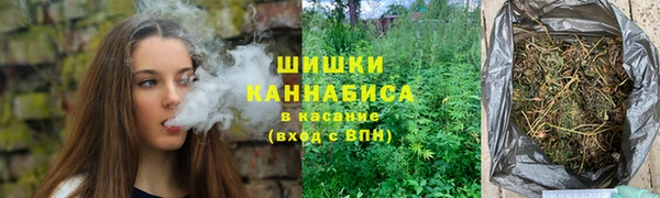 сатива Нязепетровск