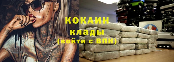 apvp Няндома
