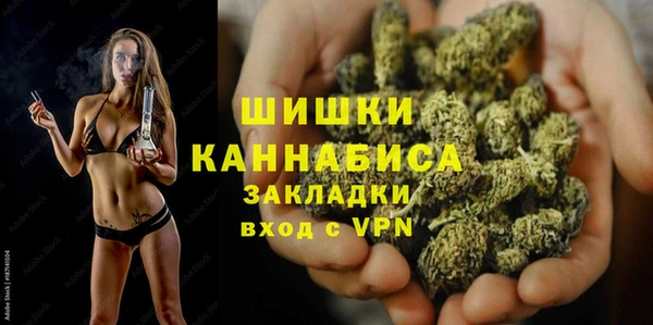 apvp Няндома