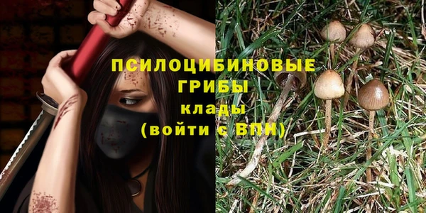 сатива Нязепетровск