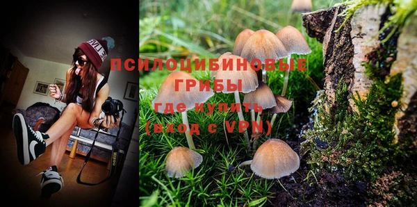 гидропоника Нягань