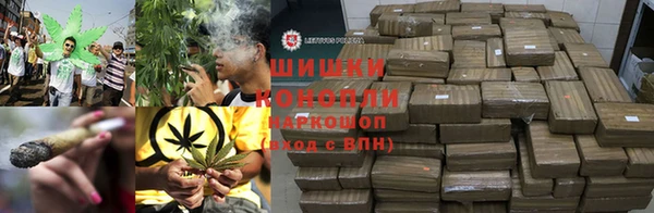 гидропоника Нягань